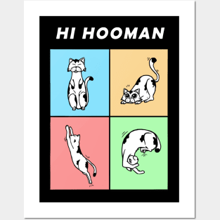 Hi Hooman Posters and Art